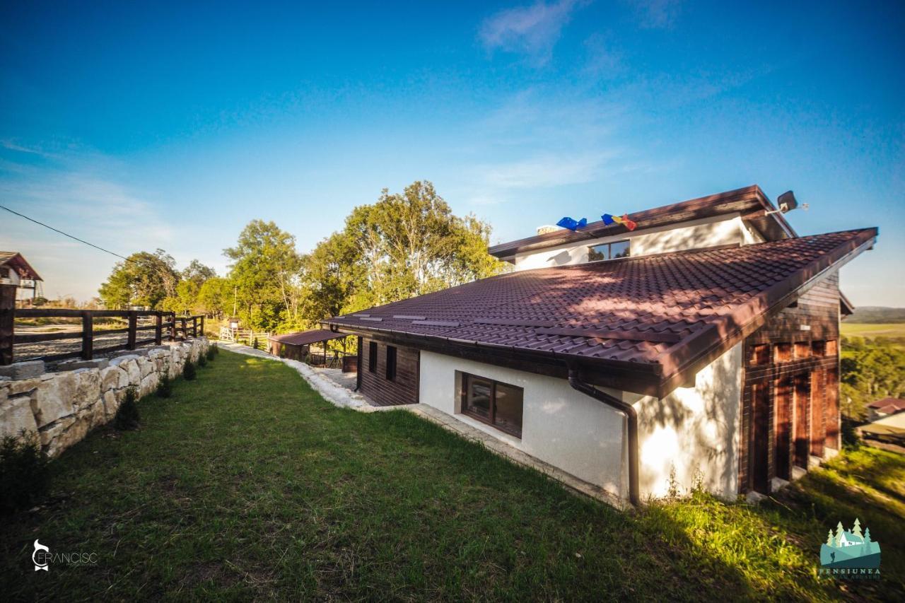 Retreat Margau Apuseni-Adults Only- Wellness & Wellbeing Villa Exteriör bild